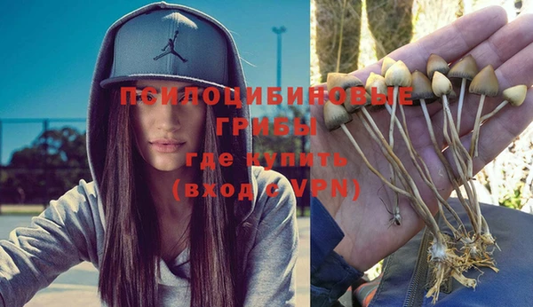 ГАЛЛЮЦИНОГЕННЫЕ ГРИБЫ Бугульма