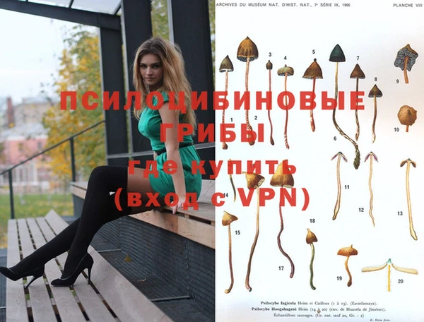 скорость mdpv Бородино